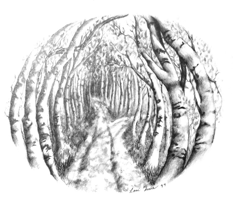 Path image
